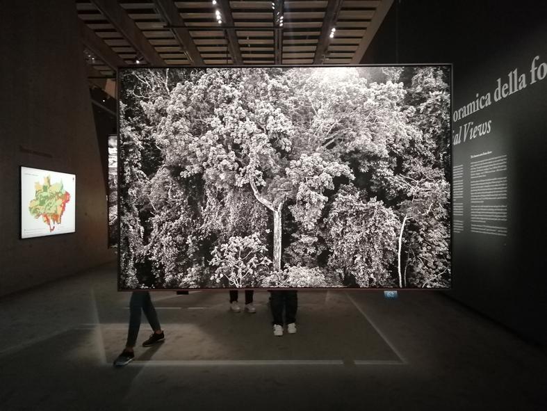 Dalla mostra Amazzônia di Sebastiaõ Salgado. La natura è il protagonista assoluta.