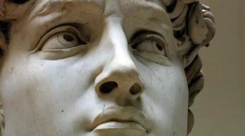 Michelangelo, David (particolare)
