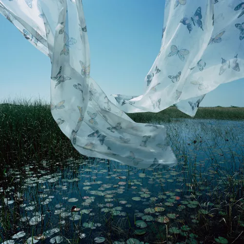 Ph Rebecca Reeve.
