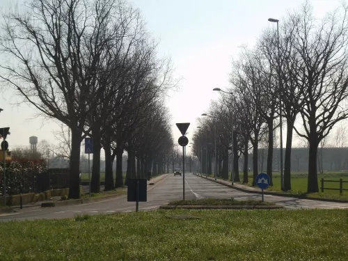Fotografie di Luigi Grazioli