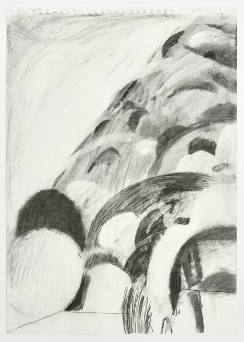 Phoebe Unwin Untitled, 2018 carboncino su carta / charcoal on paper 59,5 x 42 cm © the artist Courtesy Amanda Wilkinson Gallery, London.