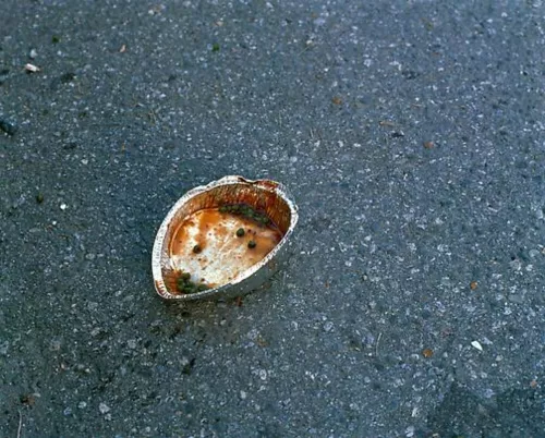 Jeff Wall, Peas and sauce, 2000