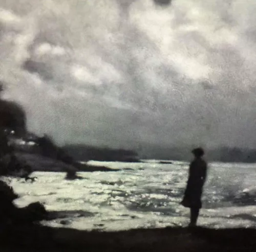 Opera di Anne Magill.
