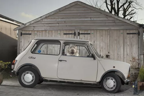 Fotografie di Martin Usborne