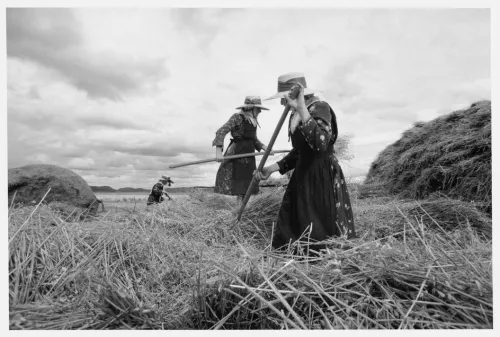 Larry Towell