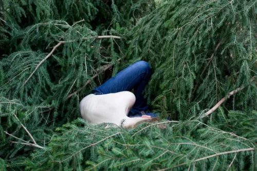 Ph Elodie Ledure.