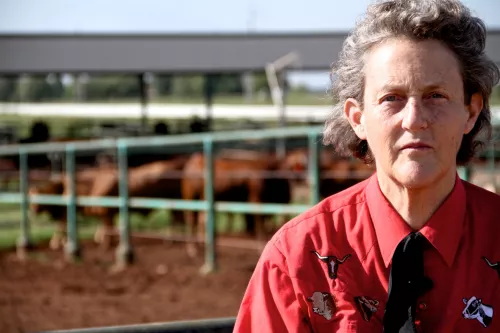 Temple Grandin.