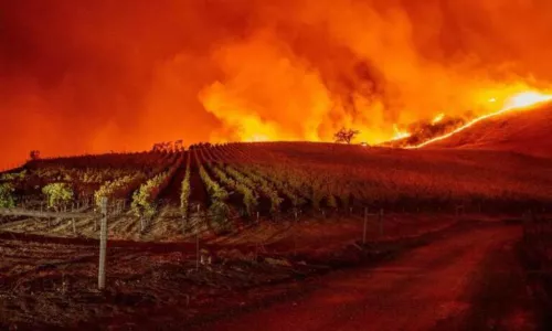 Incendio Napa Valley