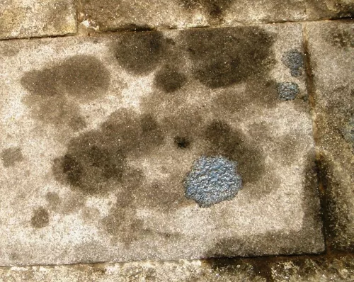 Macchie in via Paolo Sarpi, Milano.