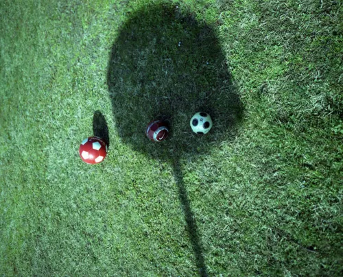 Fotografia di Sabrina Ragucci