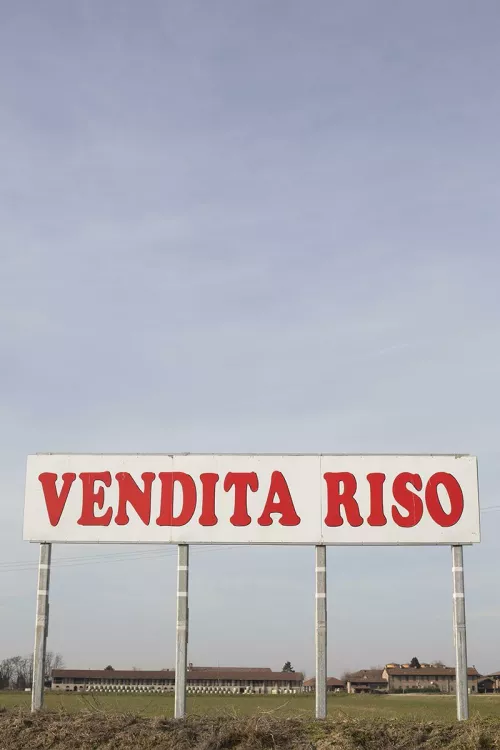 Sara Rossi, V (Vendita riso), Periferia sud Milano, 2016.