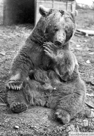 Wojtek.